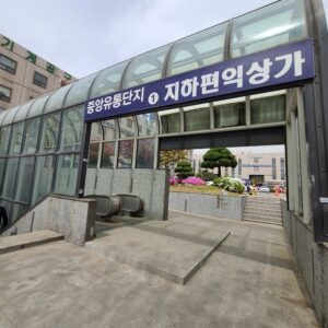코하루