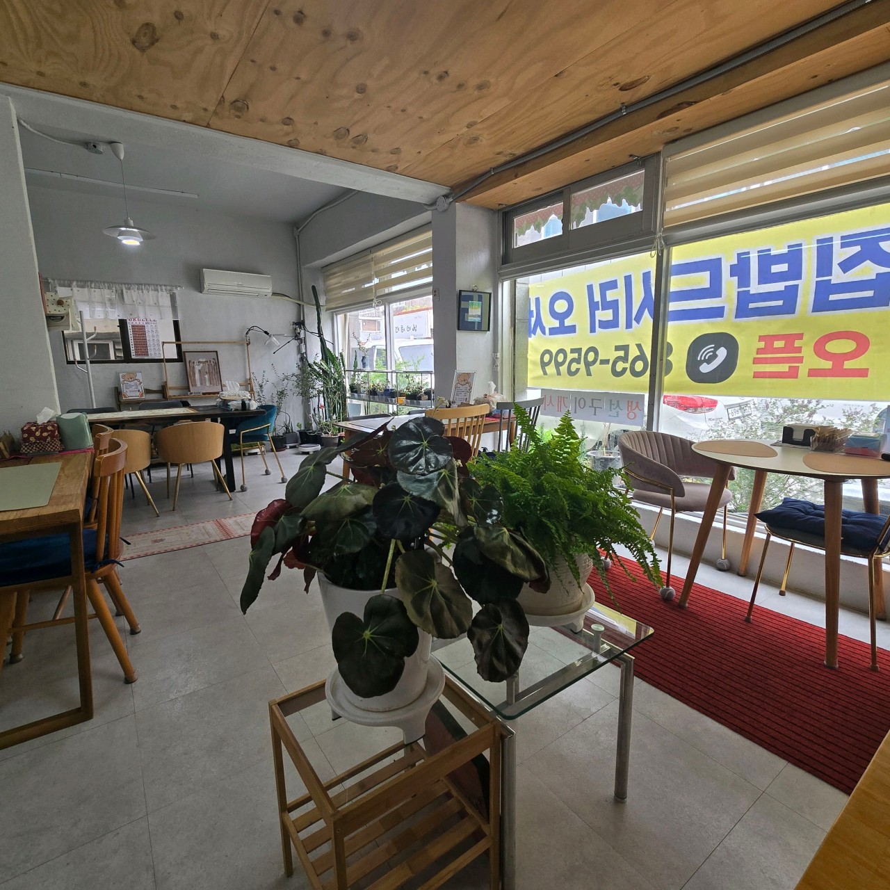 한결정식